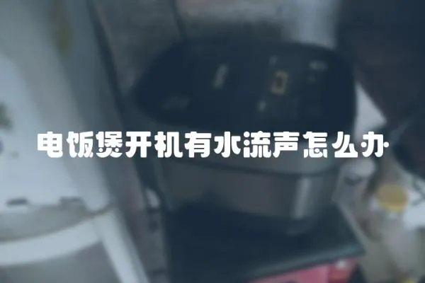 電飯煲開機有水流聲怎么辦