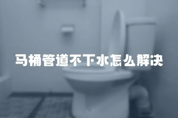 馬桶管道不下水怎么解決