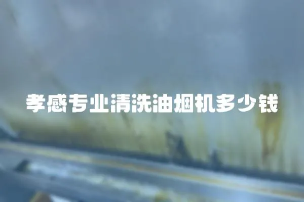 孝感專業清洗油煙機多少錢