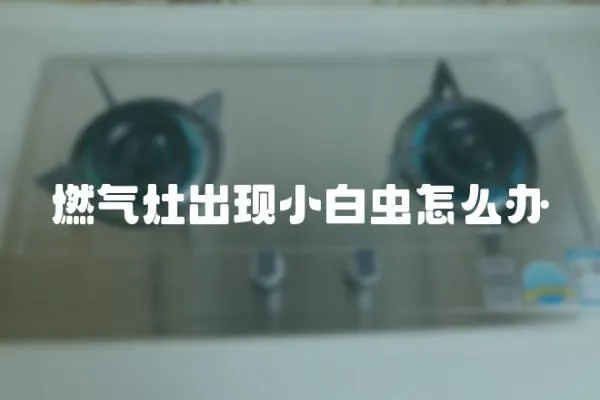 燃气灶出现小白虫怎么办