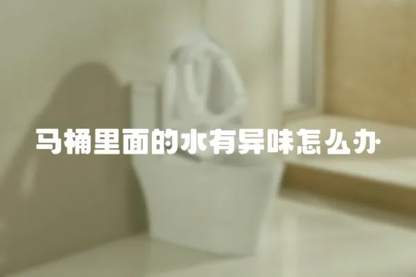 馬桶里面的水有異味怎么辦