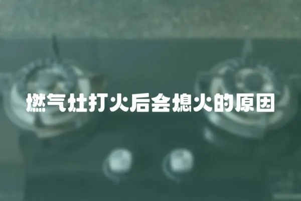 燃?xì)庠畲蚧鸷髸ɑ鸬脑?></a></div>
                    <div   id=