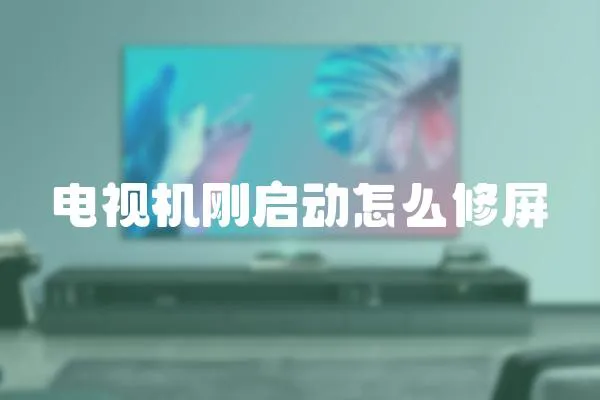 電視機剛啟動怎么修屏
