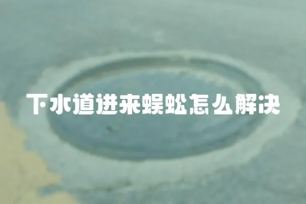 下水道進來蜈蚣怎么解決