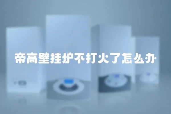 帝高壁掛爐不打火了怎么辦