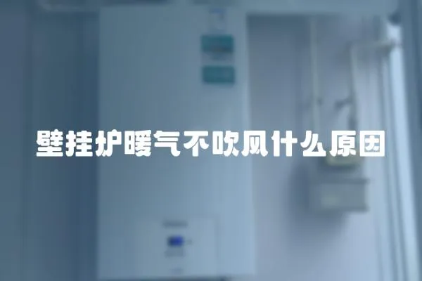 壁掛爐暖氣不吹風(fēng)什么原因