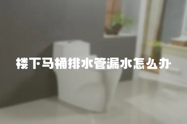 樓下馬桶排水管漏水怎么辦