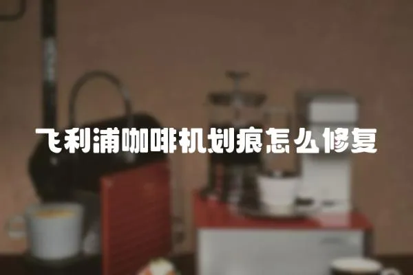 飛利浦咖啡機(jī)劃痕怎么修復(fù)