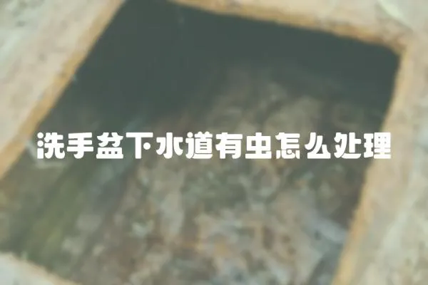洗手盆下水道有蟲怎么處理