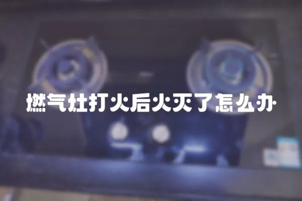 燃?xì)庠畲蚧鸷蠡饻缌嗽趺崔k