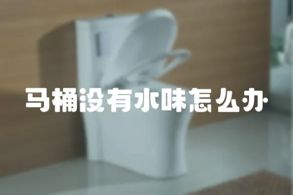 馬桶沒有水味怎么辦