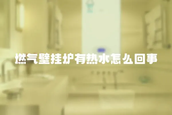 燃氣壁掛爐有熱水怎么回事