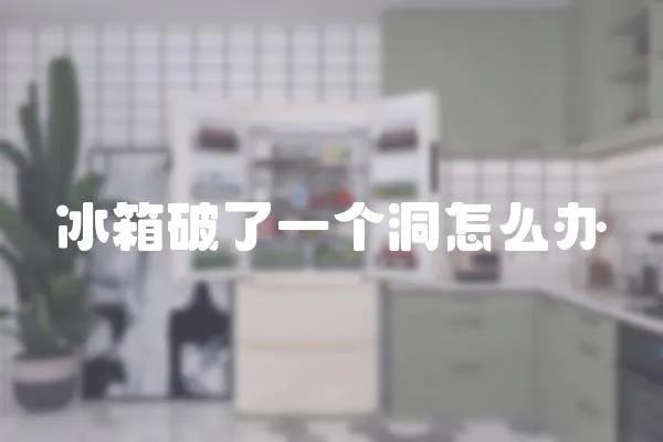冰箱破了一個洞怎么辦