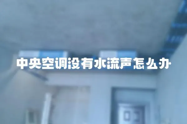 中央空調沒有水流聲怎么辦