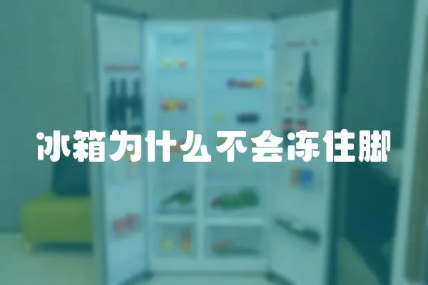 冰箱為什么不會凍住腳