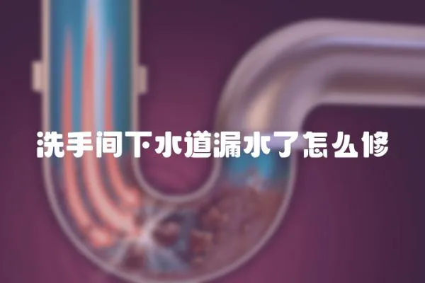 洗手間下水道漏水了怎么修