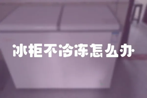 冰柜不冷凍怎么辦
