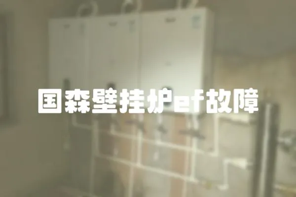 國森壁掛爐ef故障