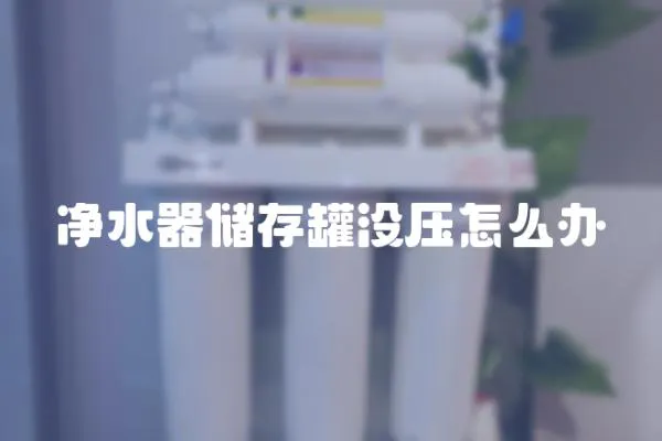凈水器儲存罐沒壓怎么辦