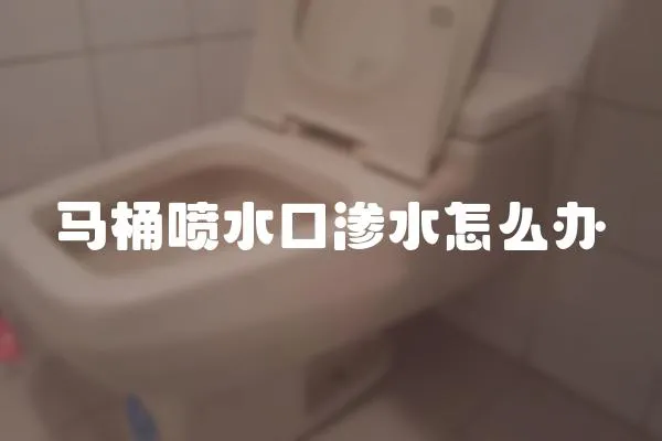 馬桶噴水口滲水怎么辦