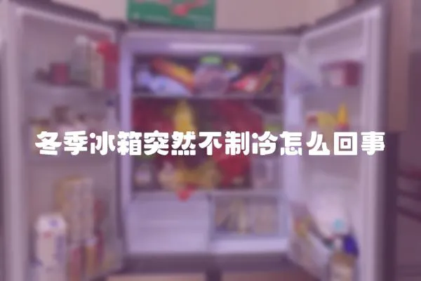 冬季冰箱突然不制冷怎么回事