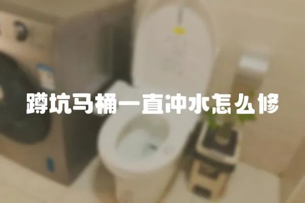 蹲坑馬桶一直沖水怎么修