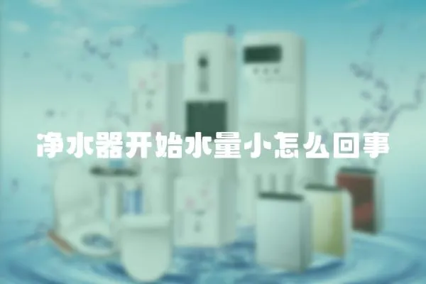 凈水器開始水量小怎么回事