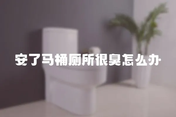安了馬桶廁所很臭怎么辦