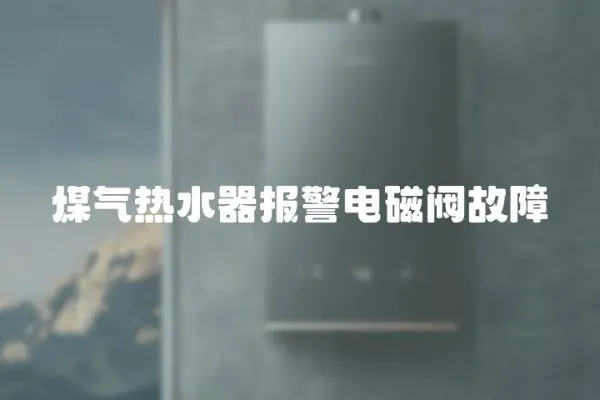 煤氣熱水器報警電磁閥故障