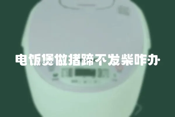 電飯煲做豬蹄不發(fā)柴咋辦