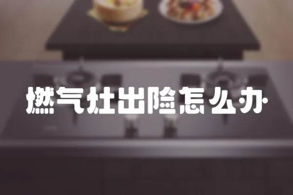 燃氣灶出險怎么辦