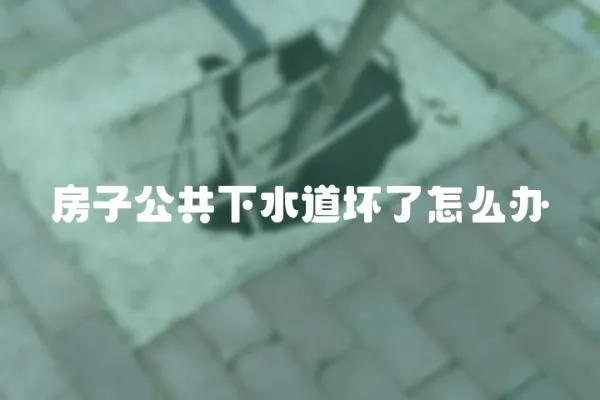 房子公共下水道壞了怎么辦