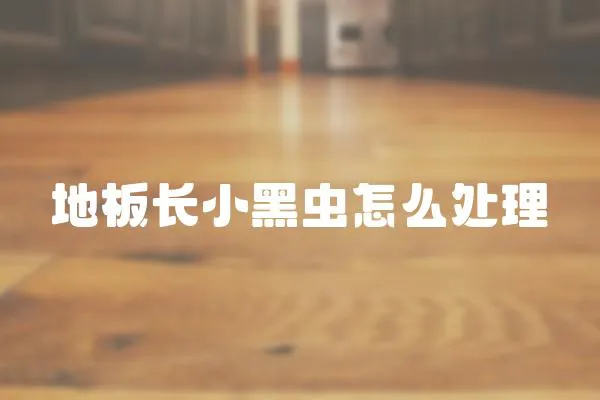 地板長小黑蟲怎么處理