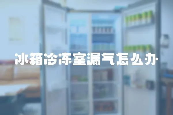 冰箱冷凍室漏氣怎么辦