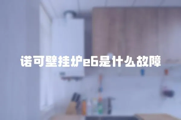 諾可壁掛爐e6是什么故障