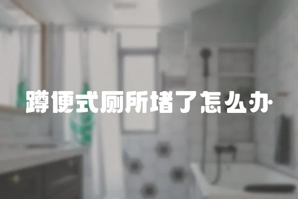 蹲便式廁所堵了怎么辦