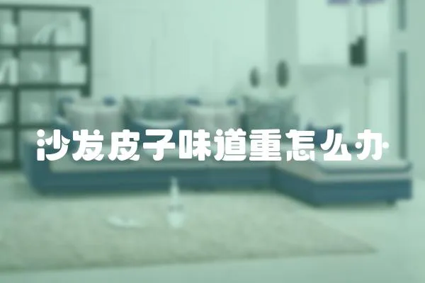 沙發皮子味道重怎么辦
