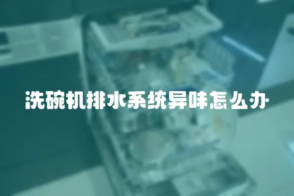 洗碗機排水系統異味怎么辦