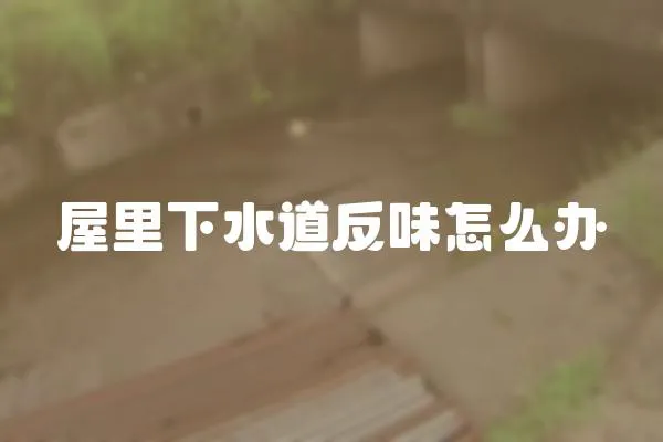 屋里下水道反味怎么辦