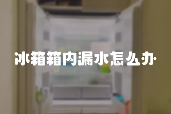 冰箱箱內漏水怎么辦