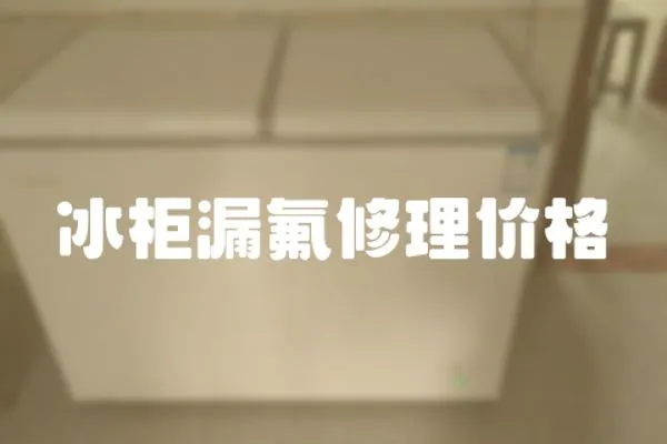 冰柜漏氟修理價格