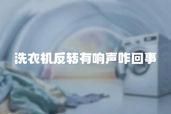 洗衣機反轉有響聲咋回事