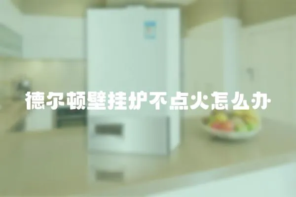 德爾頓壁掛爐不點(diǎn)火怎么辦