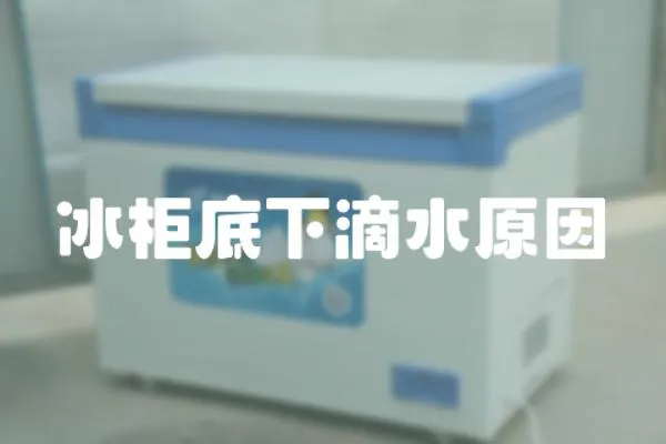冰柜底下滴水原因