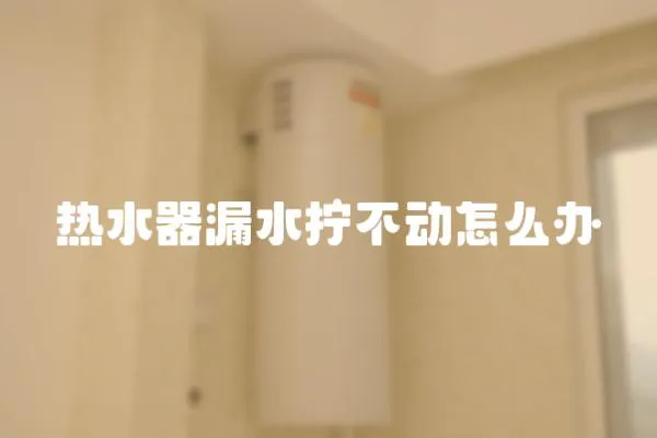熱水器漏水擰不動怎么辦