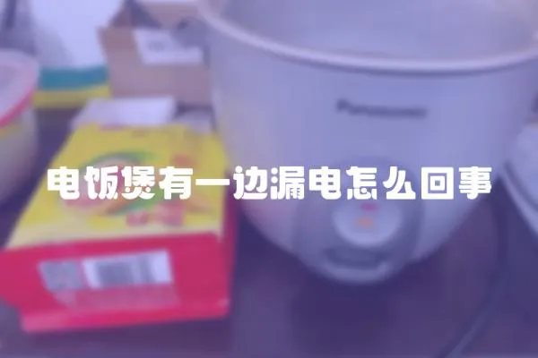 電飯煲有一邊漏電怎么回事