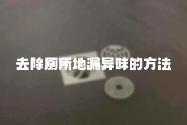 去除廁所地漏異味的方法