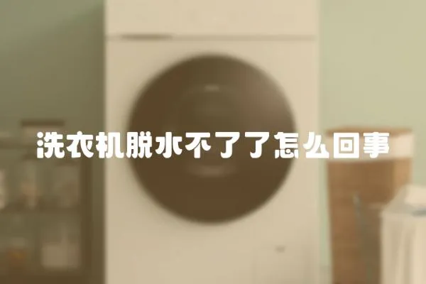 洗衣機(jī)脫水不了了怎么回事