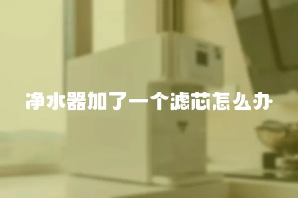 凈水器加了一個濾芯怎么辦