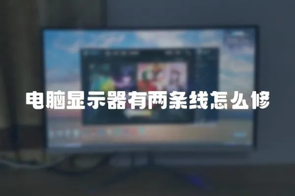 電腦顯示器有兩條線怎么修